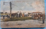 Carte postala, Salutari din Romania, perioada interbelica