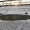 Longboard lung. Skateboard.