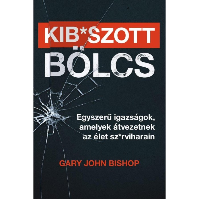 Kib*szott b&ouml;lcs: Egyszerű igazs&aacute;gok, amelyek &aacute;tvezetnek az &eacute;let sz*rviharain - Gary John Bishop
