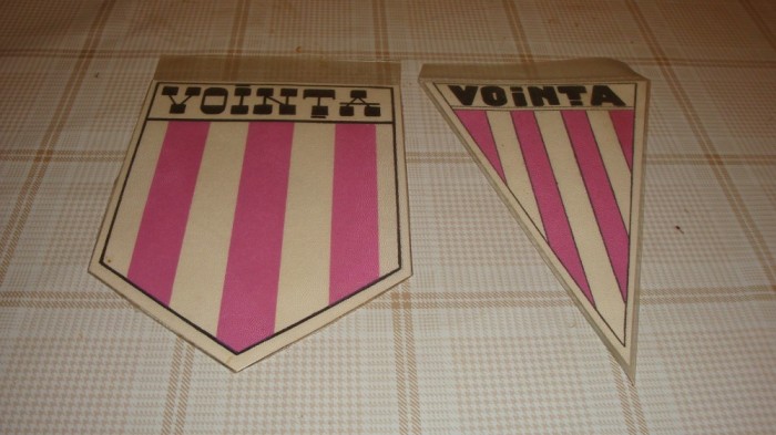 Vointa Cluj - sectia box - set 2 fanioane - plastic