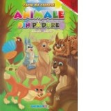 Animale din padure - Carte de colorat (romana-engleza) (format A4)