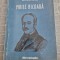Moise Nicoara de Cornelia Bodea