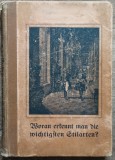 Cum recunosti cele mai importante stiluri? - Robert Bucheler// lb. germana