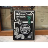 Metamorfozele goticului - Jurgis Baltrusaitis