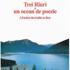 Trei Riuri si un ocean de poezie - Valeriu Stancu