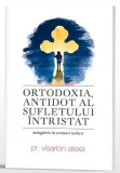 Ortodoxia, Antidotul Sufletului &Icirc;ntristat - Visarion Alexa - Carte Beletristica, Spiritualitate