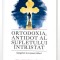 Ortodoxia, antidot al sufletului intristat &ndash; Visarion Alexa