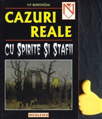 Cazuri reale cu spirite si stafii V.P. Borovicka foto