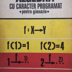 Dan Nica - Algebra cu caracter programat pentru gimanziu (editia 1977)