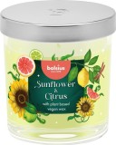 Lumanare parfumata Bolsius Floral Fusion Floarea-soarelui si Citrice &icirc;n pahar