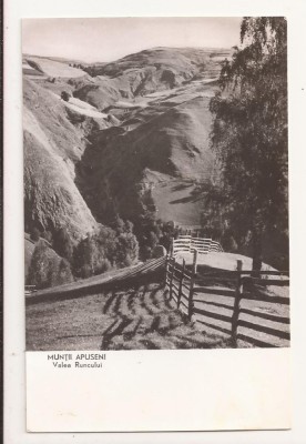 Carte Postala veche - Muntii Apuseni, Valea Runcului, Circulata foto