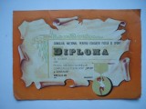 Diploma Consiliul National pentru Educatie Fizica si Sport, anii &#039;70