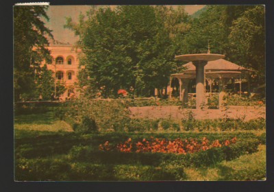 CPIB 17981 CARTE POSTALA - BAILE HERCULANE. VEDERE DIN PARC foto