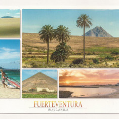 FA47-Carte Postala- SPANIA - Fuerteventura, circulata
