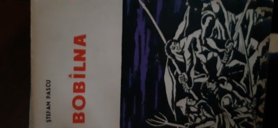 Bobilna ( Bobalna ) Stefan Pascu 1963 foto