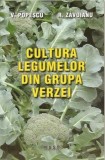 Cultura legumelor din grupa verzei | Victor Popescu, Roxana Zavoianu