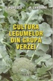 Cultura legumelor din grupa verzei | Victor Popescu, Roxana Zavoianu