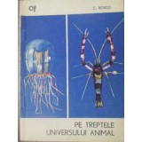 PE TREPTELE UNIVERSULUI ANIMAL-C. BOICO-229080