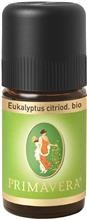 Ulei Esential Bio cu Eucalipt Citriodora 5ml Primavera Cod: 728122 foto