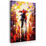 Cumpara ieftin Tablou - Rain of Feelings 60x90 cm