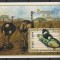 ZAMBIA 2000 FAUNA INSECTE FLUTURI STRUTI