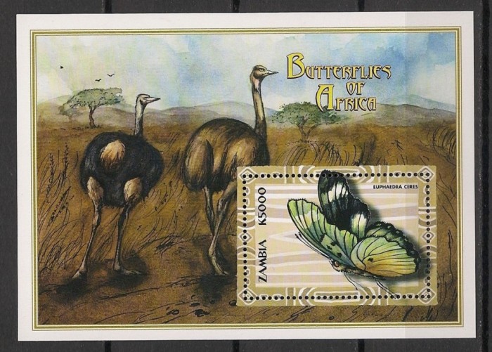 ZAMBIA 2000 FAUNA INSECTE FLUTURI STRUTI