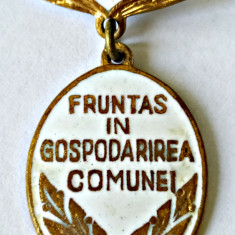 INSIGNA FRUNTAS IN GOSPODARIREA COMUNEI 1974