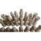 Set piese de șah din lemn DIY fără vopsea nelacuit nevopsit 11.5 cm