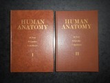 MIKHAIL PRIVES - ANATOMIA UMANA 2 volume (1985, ed. cartonata in limba engleza)