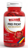PRO FICAT 60CPS