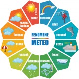 Autocolant Fenomene Meteo Floare - 125x125 cm