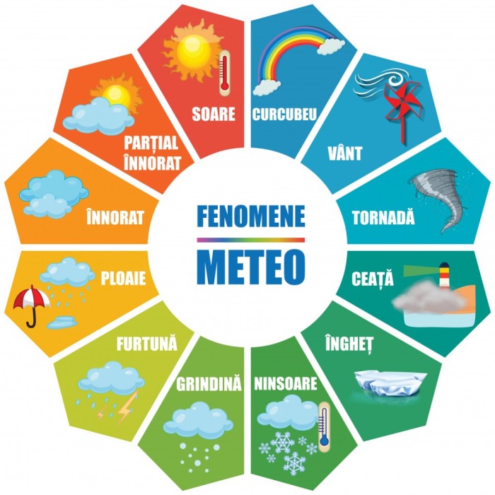 Autocolant Fenomene Meteo Floare - 125x125 cm