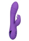 Vibrator Rabbit West Coast Wave Rider California Dreaming