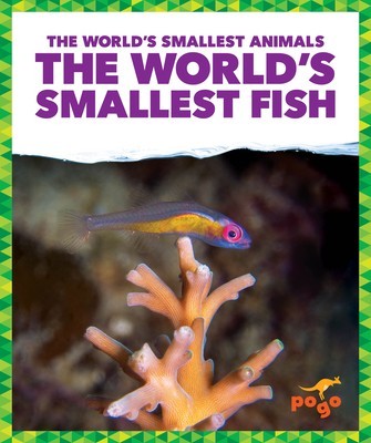 The World&amp;#039;s Smallest Fish foto