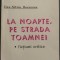 DAN-SILVIU BOERESCU - LA NOAPTE, PE STRADA TOAMNEI: FICTIUNI CRITICE (VOLUM DE DEBUT, 1993) [SEMNATURA VICTOR STOLERU]