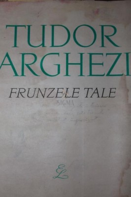 FRUNZELE TALE foto