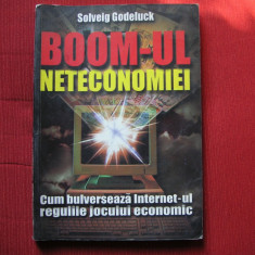 Solveig Godeluck - Boom-ul neteconomiei. Cum bulverseaza internet-ul regulile