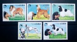 Cuba 1994 c&acirc;ini de rasă, aninale fauna serie 5v neștampilată