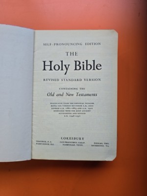 The Holy Bible - foto