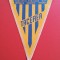 Fanion fotbal - ASOCIATIA SURZILOR din RSR - &quot;TACEREA&quot;