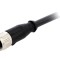 Conector M12 mamă drept 5m