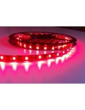 Banda led rosie 60 leduri /metru, 12V, rezistenta la apa, la rola de 5 metri