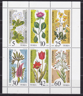 BULGARIA 1989 FLORA FLORI BLOC MNH foto