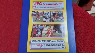 program Bournemouth - Newcastle United foto