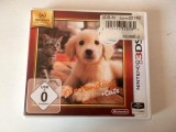 * Joc Nintendogs + Cats : Golden Retriever &amp; New Friends pentru Nintendo 3DS