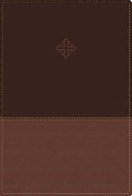 Amplified Study Bible, Imitation Leather, Brown foto