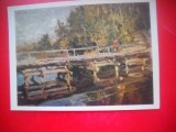 HOPCT 23514 TOAMNA PE POD- KOROVI K A -1861-1939 -RUSIA -MUZEE - CP PICTURA --NECIRCULATA