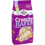 Musli Crocant Bauckhof Ovaz si Fructe de Padure Bio Fara Gluten Vegan 1kg