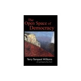 The Open Space of Democracy