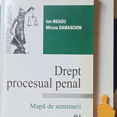 Drept procesual penal Ion Neagu Mircea Damaschin mapa de seminarii